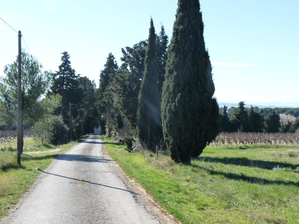 Chateau La Bouriette Moussoulens Zewnętrze zdjęcie